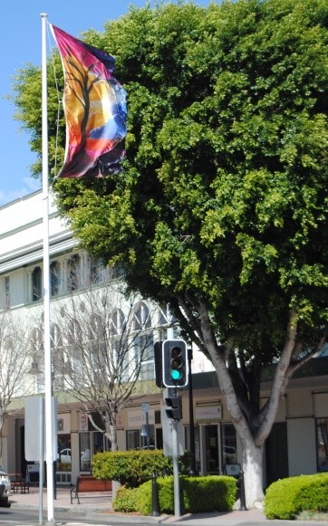 Promotional Flags