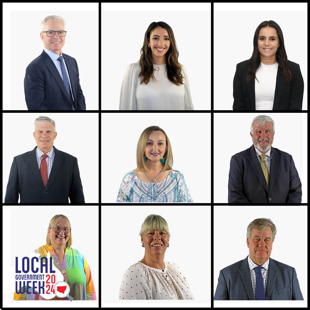 Councillors