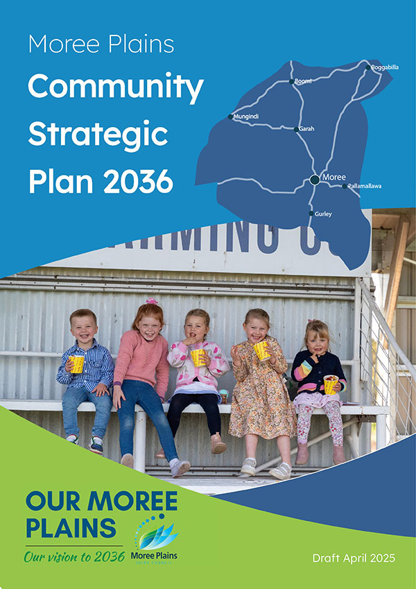 Draft Community Strategic Plan 2036