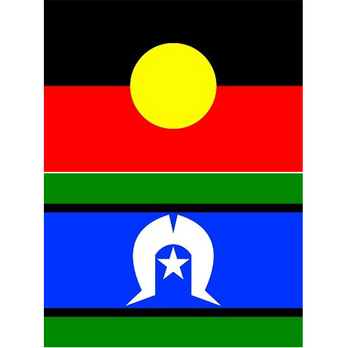 Flags to fly in the Council Chamber