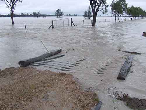 Flood waters within the Moree Plains Shire