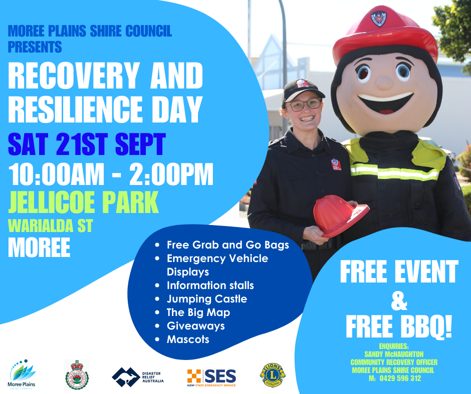 Recovery Resilience Day 