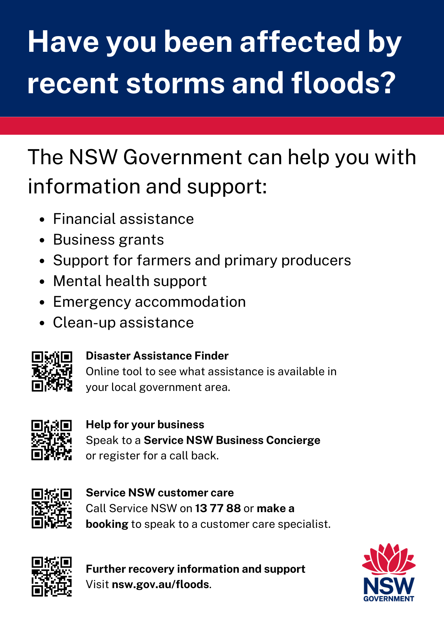 Storm and flood assistance flyer