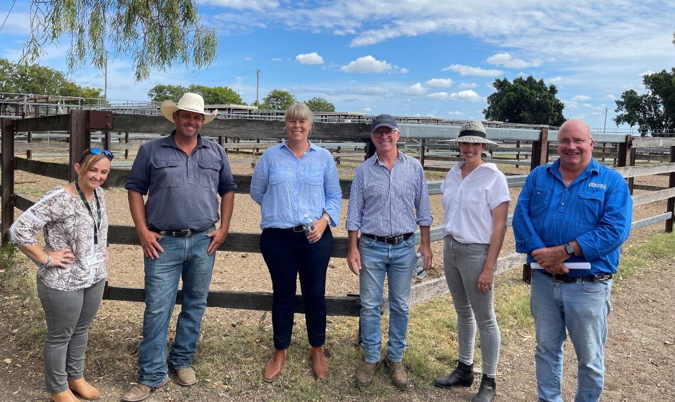 The future of the Moree Salesyards