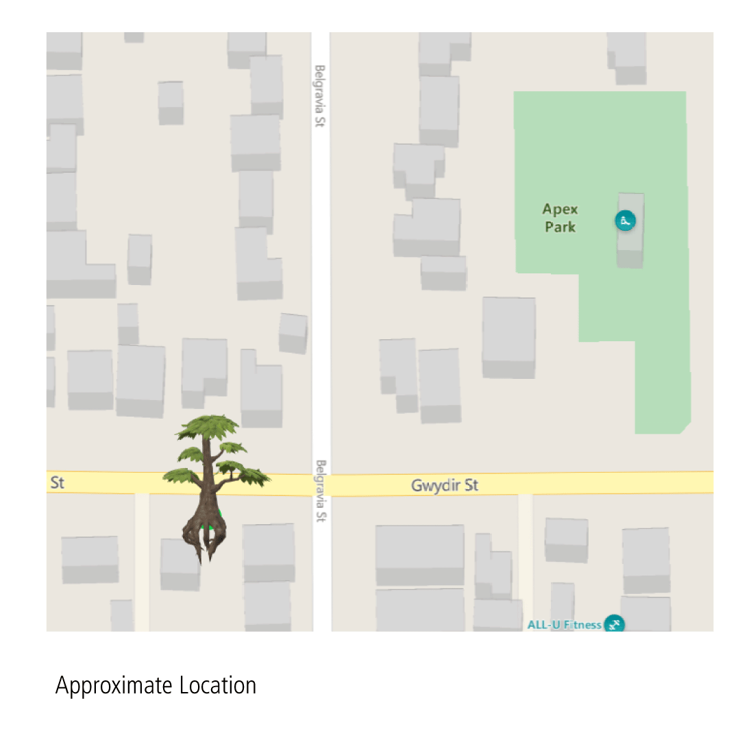 tree removal.jpg