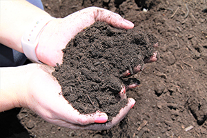 Free compost at the Moree Waste Management Facility