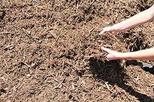 Free mulch at the Moree Waste Management Facility