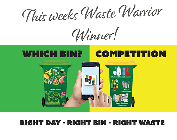 Which Bin Competition Winner