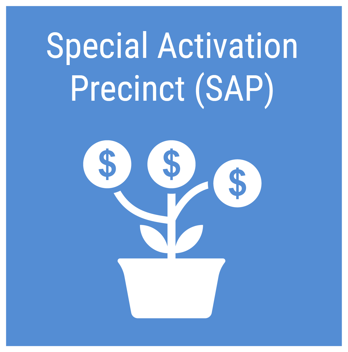 Special Activation Precinct