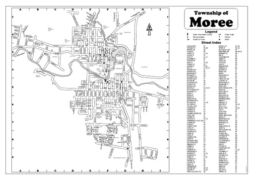 Moree Township Map