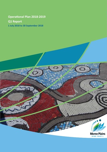 Operational Plan 2018 2019 Quarter 1 Report