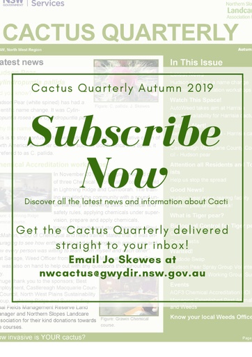 Cactus Quarterly Autumn 2019 1